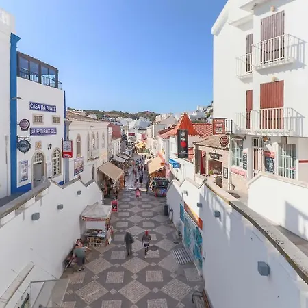 Perfect Downtown With Garage Apartment *